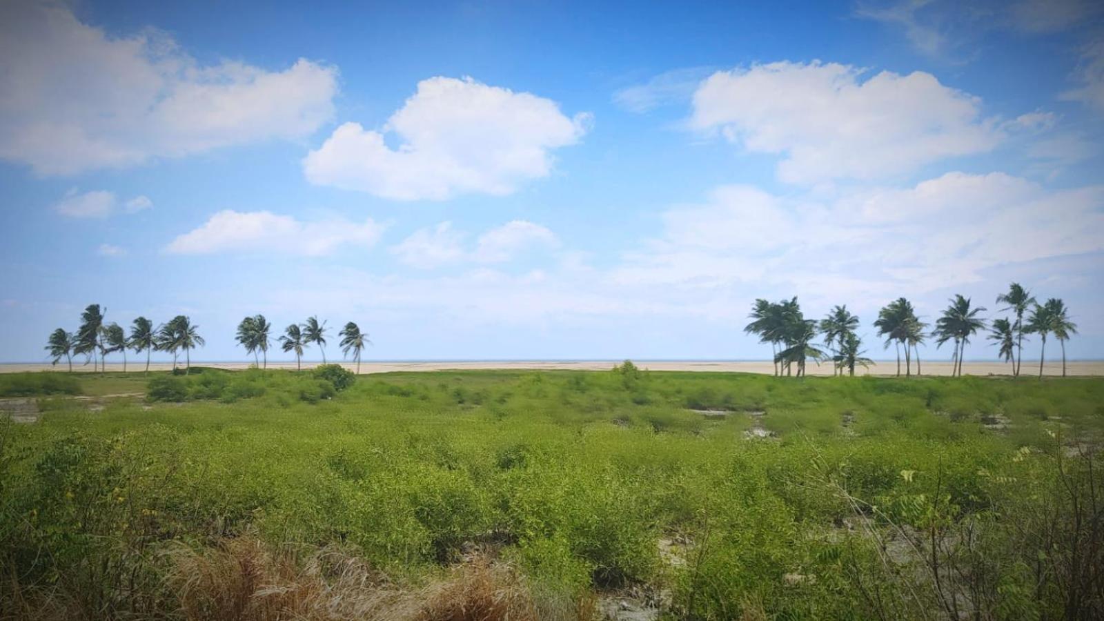 A&Y Wild Camp Ghana Keta Bagian luar foto