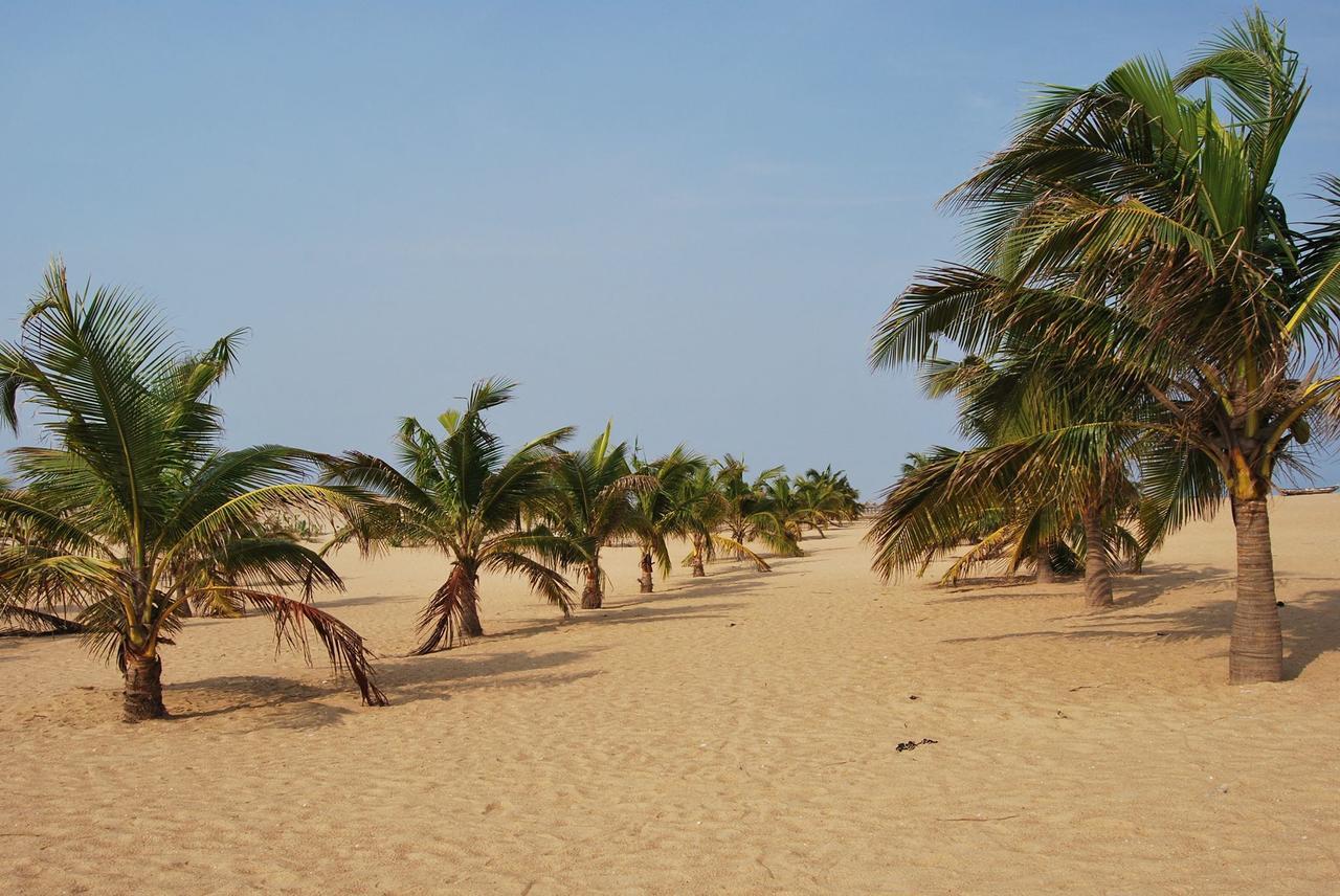 A&Y Wild Camp Ghana Keta Bagian luar foto