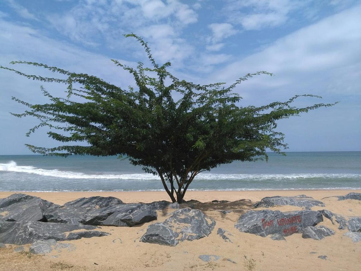 A&Y Wild Camp Ghana Keta Bagian luar foto